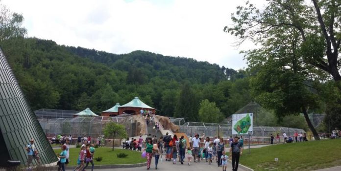 ZOO Brașov ZOO Brașov
